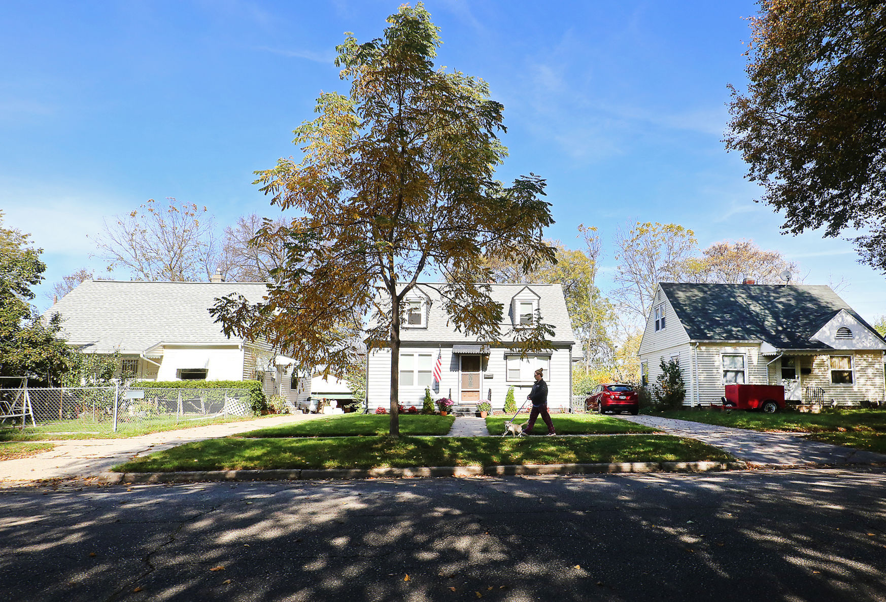 Modest houses